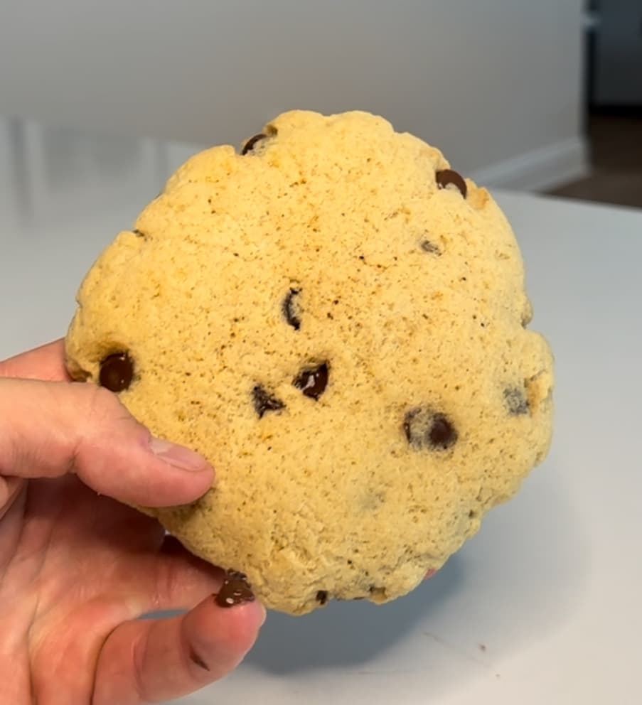 1-Minute Chocolate Chip Cookie (High Protein / Low Carb)